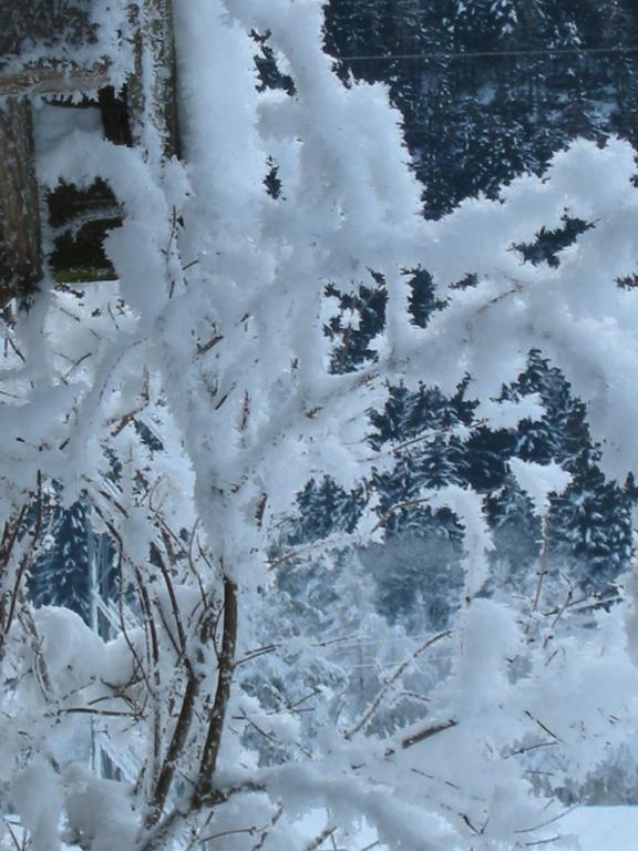 Berghaus Drei Tannen Hotell Oetz Exteriör bild